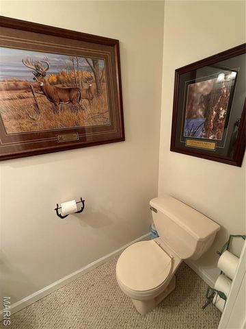 155 Stepanek Road, Troy, MO 63379