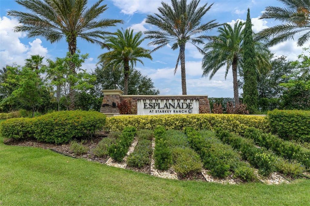 3239 FORSYTHIA DRIVE, Odessa, FL 33556