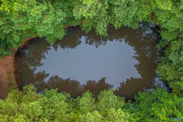 1770 County Road 42, Gadsden, AL 35901