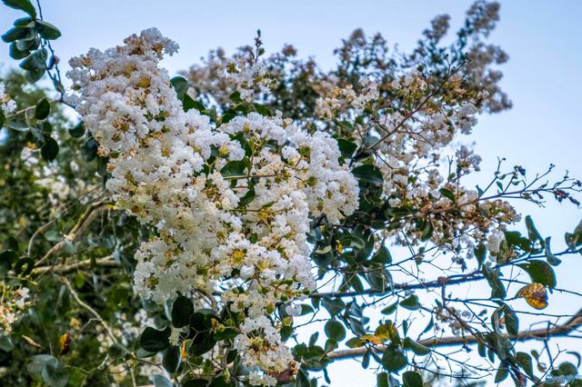 1770 County Road 42, Gadsden, AL 35901