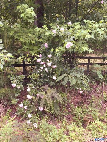 1770 County Road 42, Gadsden, AL 35901