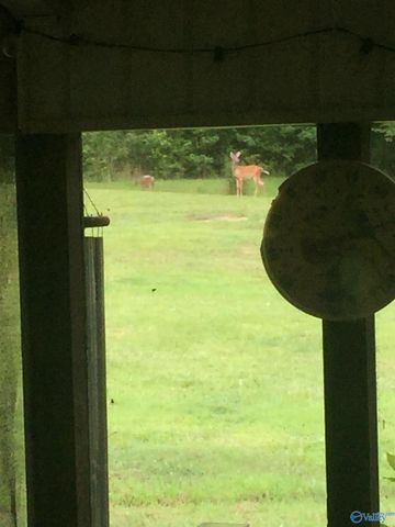 1770 County Road 42, Gadsden, AL 35901