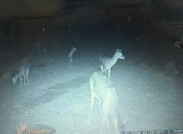 1770 County Road 42, Gadsden, AL 35901