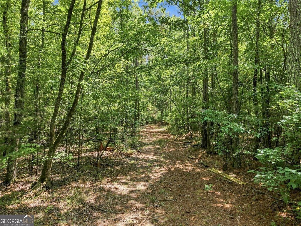 0 Cherokee Road, Elberton, GA 30635 — photo 2