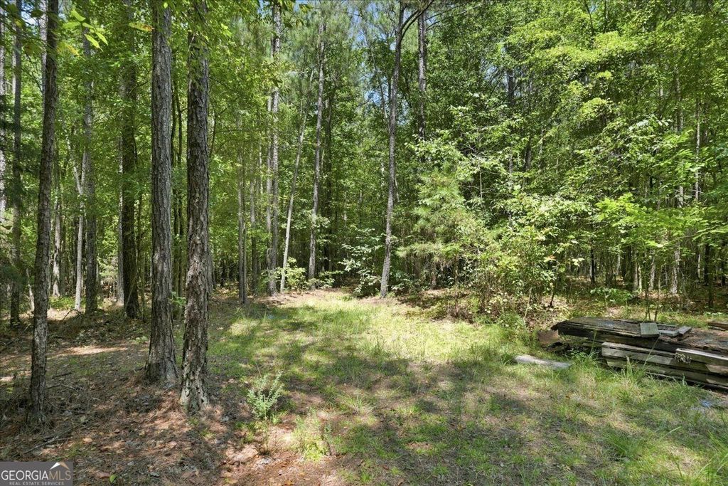 0 Cherokee Road, Elberton, GA 30635 — photo 3