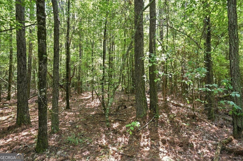 0 Cherokee Road, Elberton, GA 30635 — photo 4