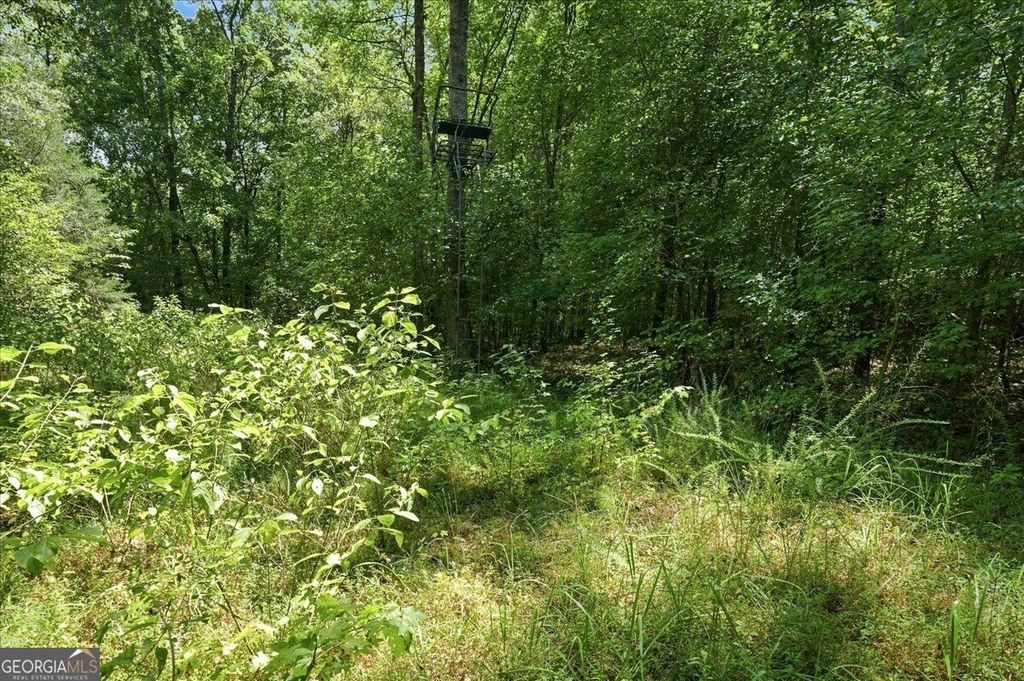 0 Cherokee Road, Elberton, GA 30635 — photo 5