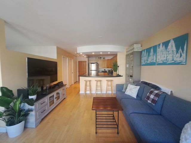 211 E Ohio Street 1906, Chicago, IL 60611