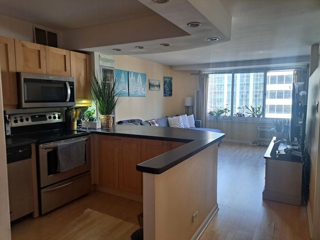 211 E Ohio Street 1906, Chicago, IL 60611