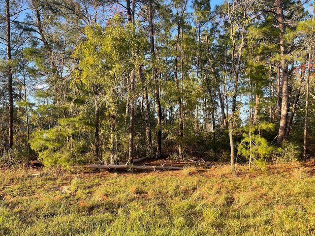 0 SW 157TH STREET, Ocala, FL 34473