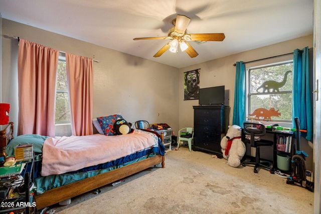 2870 MUSTANG Trail, Overgaard, AZ 85933