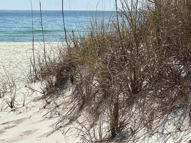 14100 River Road 114- A Building, Perdido Key, FL 32507