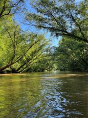 0 Lewis Grindle Parcel 4 Road, Dahlonega, GA 30533