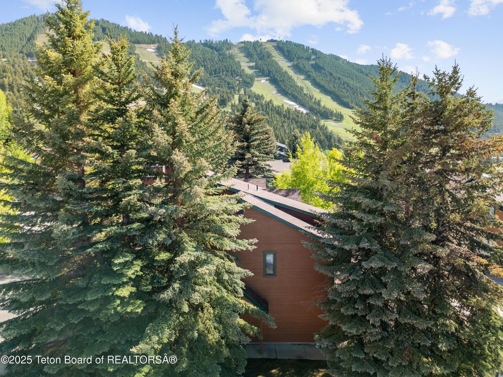 371 SNOW KING Loop, Jackson, WY 83001 photo 3