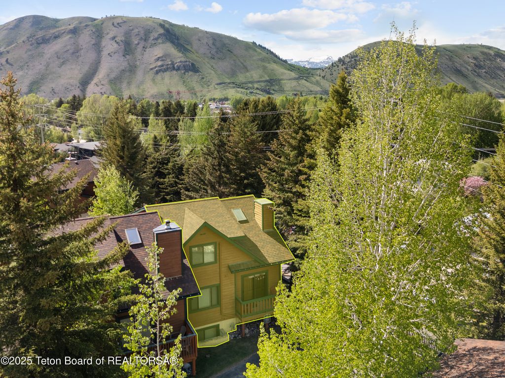371 SNOW KING Loop, Jackson, WY 83001 photo 4