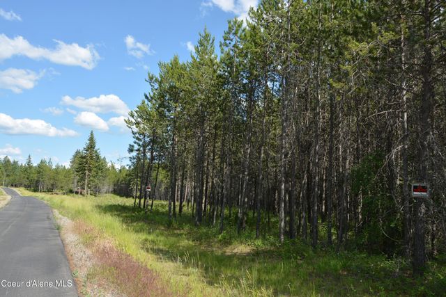 NKA N Sylvan RD, Athol, ID 83801