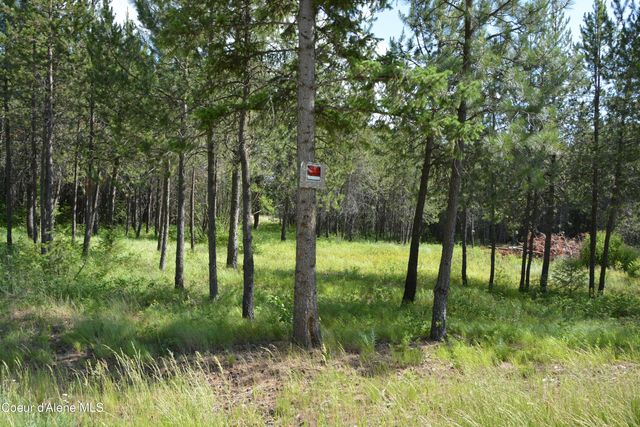 NKA N Sylvan RD, Athol, ID 83801