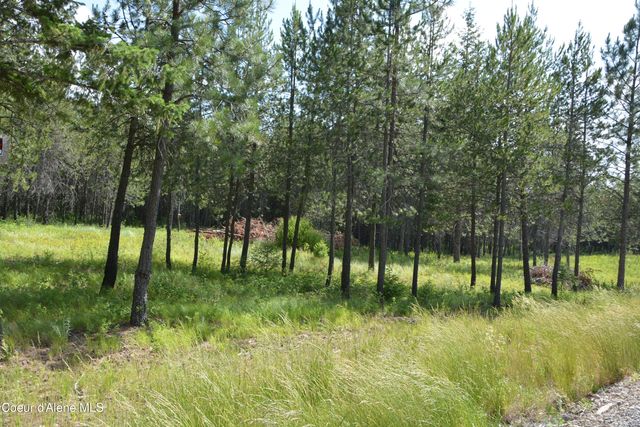 NKA N Sylvan RD, Athol, ID 83801