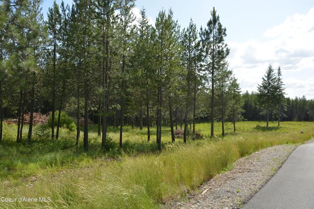 NKA N Sylvan RD, Athol, ID 83801