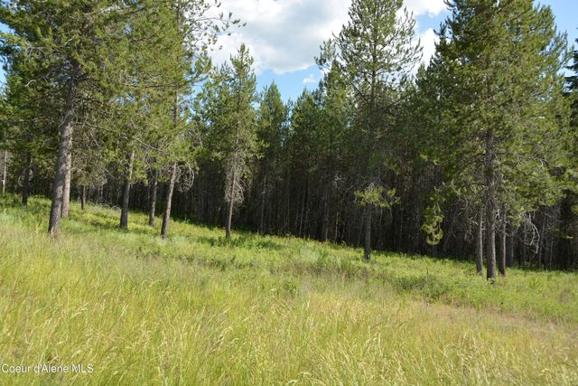 NKA N Sylvan RD, Athol, ID 83801