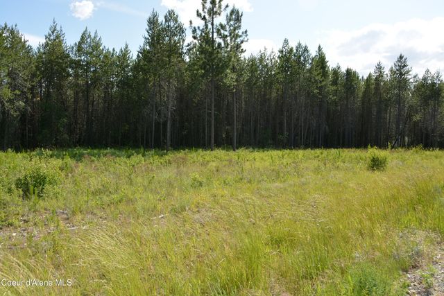 NKA N Sylvan RD, Athol, ID 83801