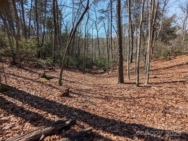 8636 Sleepy Hollow Road 12, Connelly Springs, NC 28612