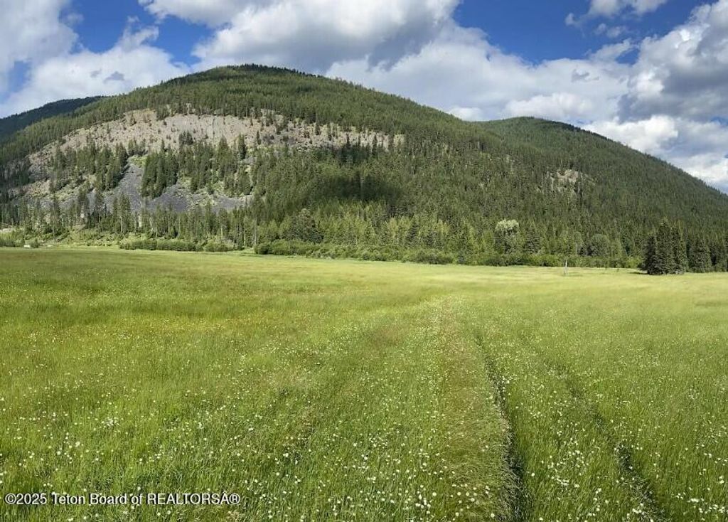 2398 PINE CREEK ROAD, Yaak, MT 59935 photo 20