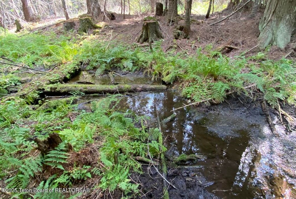 2398 PINE CREEK ROAD, Yaak, MT 59935 photo 28