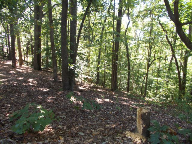 332 Mockingbird Hill Rd, Eva, TN 38333