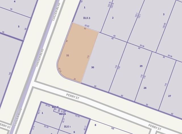 4501 Perry Street, Houston, TX 77021