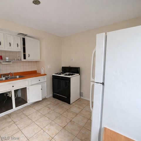 10805 Avon Avenue, Cleveland, OH 44105