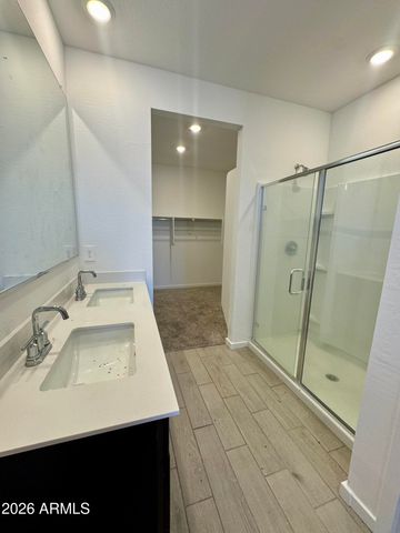 35623 N Seedling Street, San Tan Valley, AZ 85144