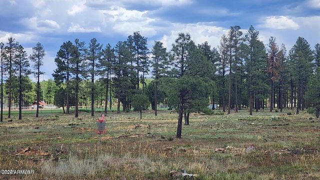 578 E Osprey Lane, Pinetop-lakeside, AZ 85929