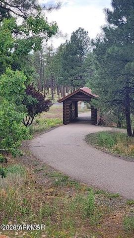 578 E Osprey Lane, Pinetop-lakeside, AZ 85929