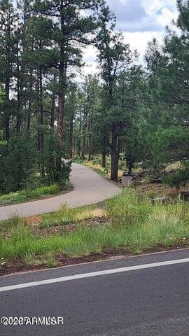 578 E Osprey Lane, Pinetop-lakeside, AZ 85929