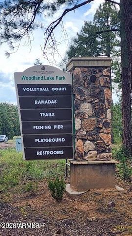 578 E Osprey Lane, Pinetop-lakeside, AZ 85929