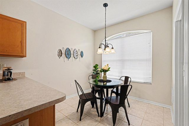 30631 NICKERSON LOOP, Wesley Chapel, FL 33543