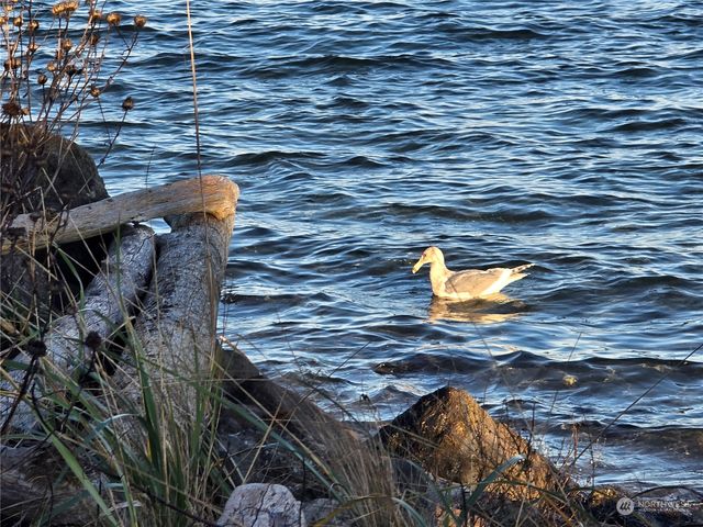 365 Seattle Drive, Port Ludlow, WA 98365