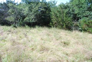 1306 Overlook Drive, Whitney, TX 76692