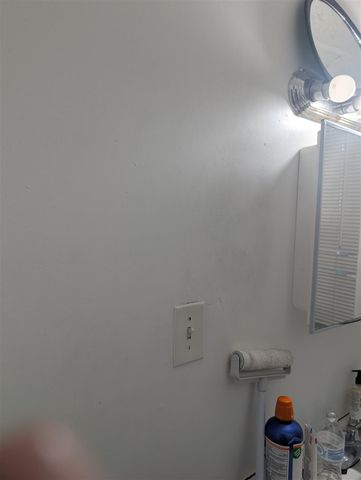 1203 W Mcnichols Road, Highland Park, MI 48203