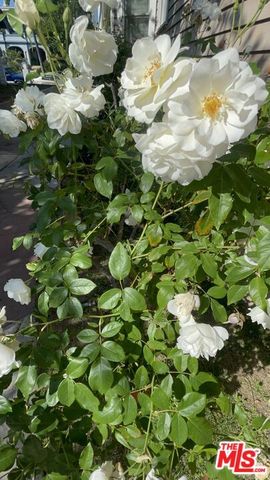 1220 3rd Avenue, Los Angeles, CA 90019