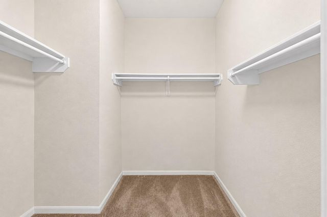 1123 Clonmore Court, Conroe, TX 77304