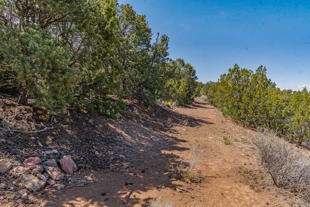 1421 Canada Del Sur, Santa Fe, NM 87501