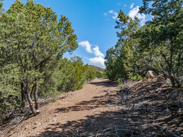1421 Canada Del Sur, Santa Fe, NM 87501