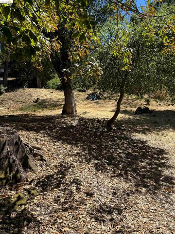 Spring Rd, Orinda, CA 94563