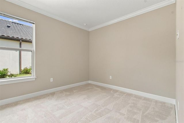 4798 ROSATTI ROAD, Wesley Chapel, FL 33543