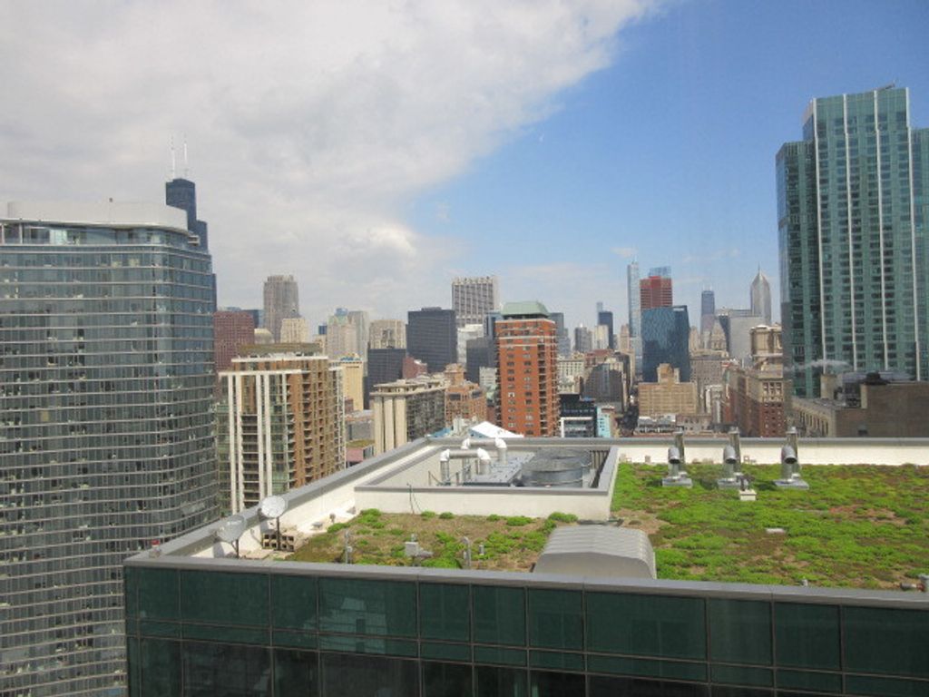 Image 18 of property listing at 1111 S Wabash Avenue 3303, Chicago, IL 60605