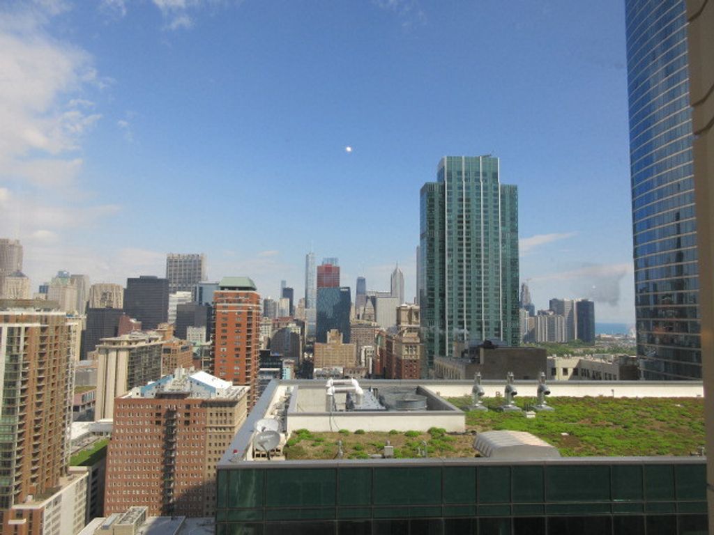 Image 10 of property listing at 1111 S Wabash Avenue 3303, Chicago, IL 60605