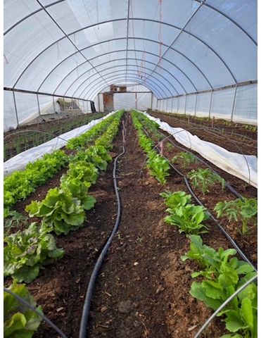 3526 Front Street, Palisade, CO 81526