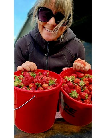 3526 Front Street, Palisade, CO 81526